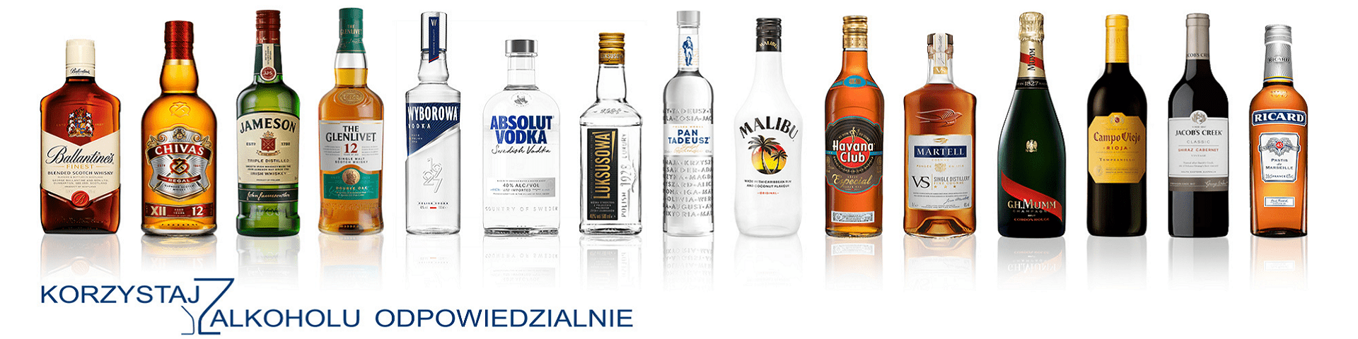 BANER WYBOROWA WIOSNA 2023